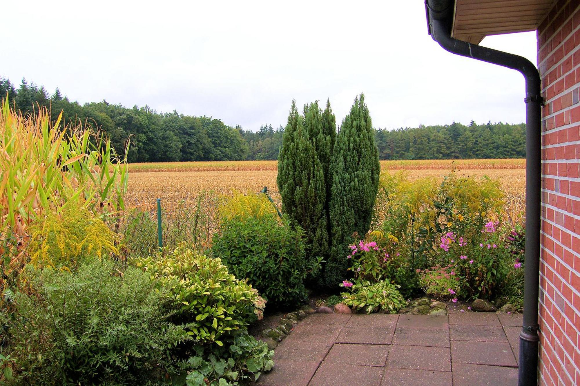 Jautz Re13 Villa Sögel Exteriör bild